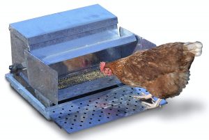 Info And Reviews On Treadle Chicken Feeders And Other Types Of Feeders